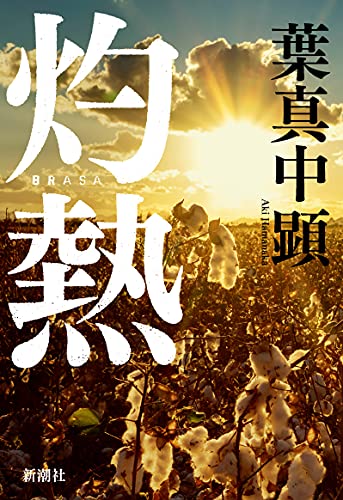 葉真中顕:灼熱