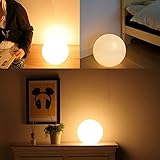 Teslong® LEDライト球状 ランプ インテリア 卓上ランプ 災害緊急ライト USB充電 16色調整可能 丸型 バレンタイン・ギフト 丸ライト クリスマスの装飾品 (12cm)