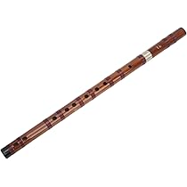 51Qq995QfvL._AC_UL210_SR210,