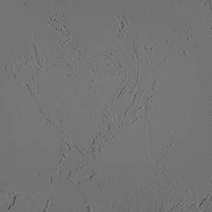 グレー の 漆喰 しっくい 練済み漆喰 Gray Tone Stucco 1缶16kg入り 約8 8 12平米 畳 約6 6枚分 クラウディ スカイ グレートーンスタッコ 塗料缶 ペンキ Amazon