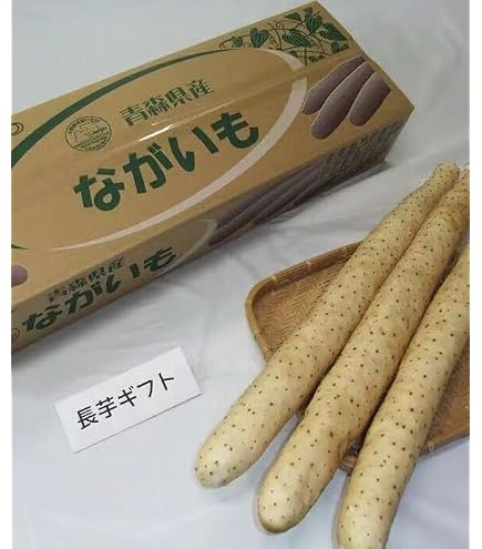 : 青森県産 長芋 5ｋｇ 洗浄済み おがくず入り