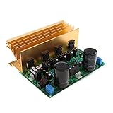 Baoblaze AD-300　ステレオ　ハイファイ　アンプボード　AC 24V　低ノイズ　エンハンスド　バージョン　モジュール