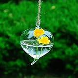 SHINA 2個セット ハンギング ガラス 花瓶 水栽培ポット 観葉植物 水耕栽培植物 ホームデコレーション