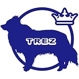 14色 愛犬名 or 犬種名 入り ボーダーコリー ステッカー DOG ON BOARD【DOG IN CAR ワンコ 名入れ ネーム ドッグ ボーダー 犬 大型犬 カーサイン TREZ 名前 名前】