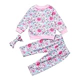 (プタス)Putars ベビー服 子供服 上下セット パーカー 女の子 長袖 総柄 花柄 桜の花 可愛い 秋 冬 スポーツ 運動会 旅行 記念日 プレゼント 6ヶ月-3歳