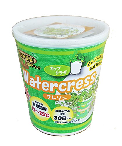 水耕栽培も簡単 クレソンの育て方 一年中収穫できる便利な香味野菜 農業 ガーデニング 園芸 家庭菜園マガジン Agri Pick