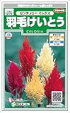 サカタのタネ　羽毛けいとう　センチュリーミックス　0.2ml