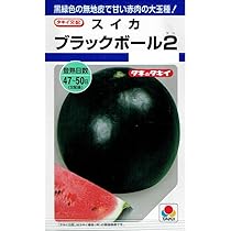 ドラゴンボール - スイカ種  楽天市場】タキイ種苗 タキイ種苗 野菜種 スイカネオブラック