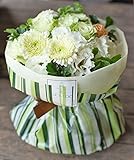 【 クール便 】 花束 ギフト 自立 する花束 Lサイズ （ ライム ホワイト ）不思議な花束 生花 ブーケ