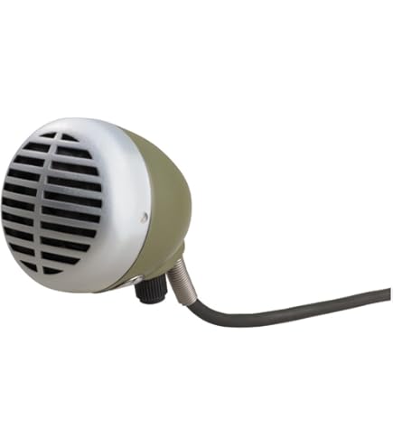 Amazon | SOLOMON MiCS LoFReQ Sub Microphone, Black by SOLOMON MiCS