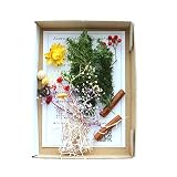 ハーバリウム花材セット１本分（クリスマスB）