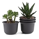 T4U 5 インチ プラスチック植木鉢 ラウンド 多肉植物 サボテン鉢 フラワーポット プランター容器 黄褐色 4個入り