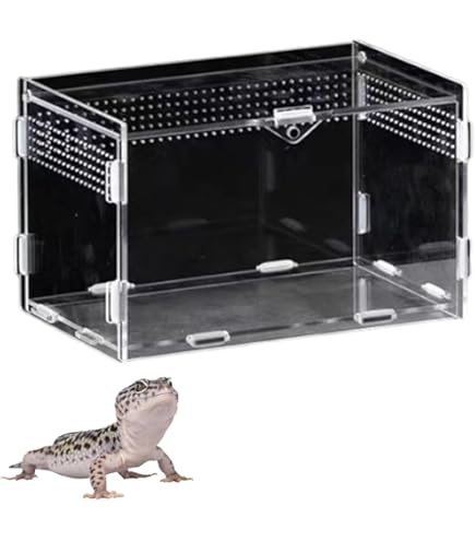 古道具 木製 木枠 ガラスケース 飼育ケース ケージ 小動物 爬虫類 昆虫などに 爬虫類 ケージ 飼育ケース 鳥 小動物 両生類 ペット 木製 ガラス