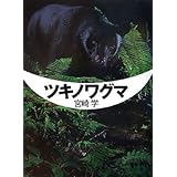 ツキノワグマ