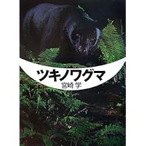ツキノワグマ | 宮崎 学 |本 | 通販 | Amazon