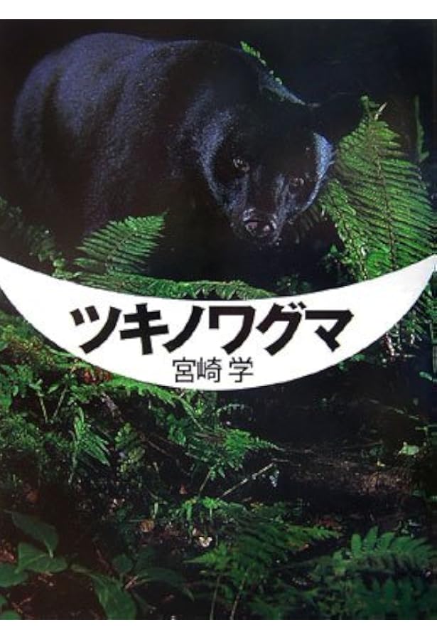 Amazon.co.jp: となりのツキノワグマ (Deep Nature Photo Book) : 宮崎