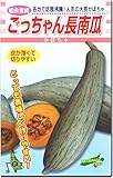 カボチャ 南瓜 種子 ごっちゃん長 かぼちゃ 10粒