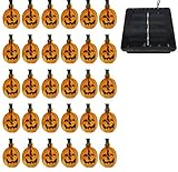 オーディオファン LEDライト 30灯 ハロウィン イルミネーション ソーラーパネル で内蔵バッテリーを充電 点灯パターン選択可能 日本国内より発送
