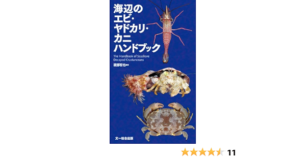 海辺のエビ ヤドカリ カニハンドブック 渡部 哲也 本 通販 Amazon