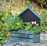 花スタンド屋内 レトロ壁掛けフラワーラック/花屋フラワートラフマルチ肉植物フラワーラック