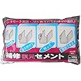 家庭化学 補修復元セメント グレー 700g