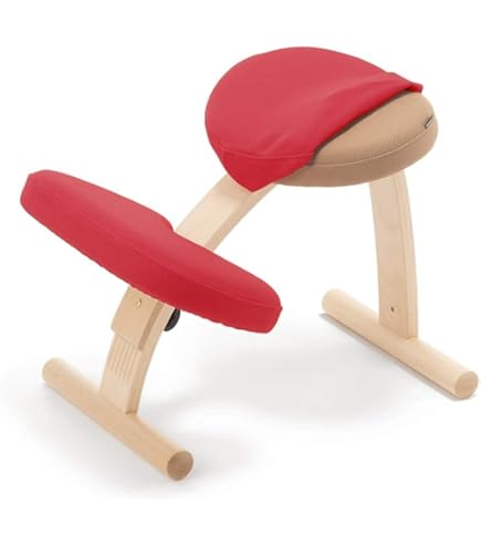 バランスラボ バランスチェア バランスイージー レッド 中古美品（美品 
