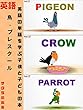 鳥 - プレスクール - 英語の単語を学ぶ、子供と子どもの本 Birds - Pre School - Learn English Words, book For Kids and Toddlers