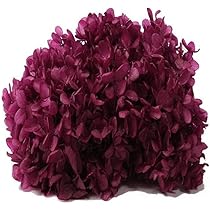 【いちごみるく】プリザーブド 紫陽花　花材 8色セット アウトレット・大地農園・あじさい | プリザーブドフラワーKnext