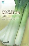 丸種 リーキ MEGATON 約70粒