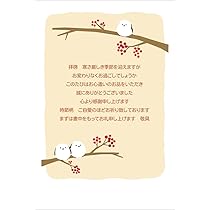 Amazon | 私製はがき マルチホワイト100枚 (ハ47840) | ポスト