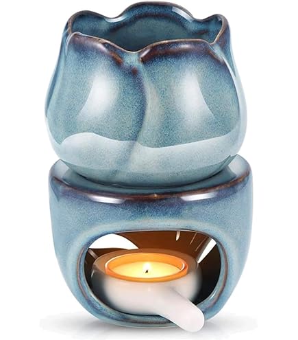 Amazon.co.jp: 萩焼 青龍山 古谷開真 作 香炉 共箱 床の間 : ドラッグ