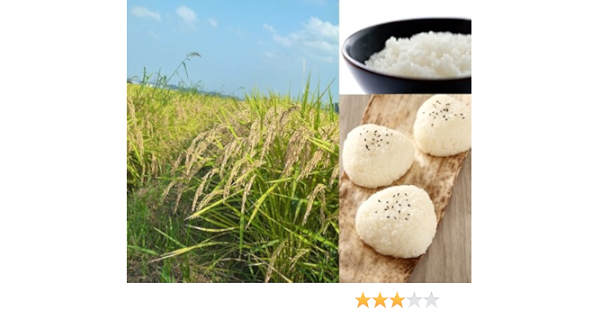 日本初の 東佐野産 千葉県 多古米 幻の米 白米 多古米 多古米 多古米 幻の米 送料無料 千葉県産 令和３年産 白米 25kg 米 ごはん Www Homerenovationwi Com