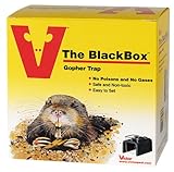 ブラックボックスのGopherトラップ0625ウッドストリームヴィクトル