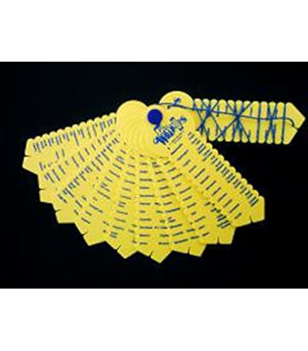 Amazon.co.jp: ラーニング・ラップアップス (LEARNING WrRAP-UPS