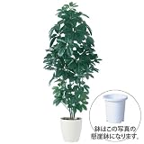 エフプランター 人工観葉植物-ツピダンサス-180-9号鉢-懸崖鉢