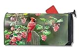 Studio MメールボックスカバーMailWrap鳥 6.5" x 19" 03402
