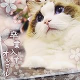 ���Ɠ��w�I���S�[��