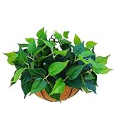 アートフラワー　バスケット/カゴセット　フェイクグリーン　造花　フラワーアレンジメント　人工観葉植物　壁掛け　インテリア　飾り付け　室内装飾　菊　ポトス　紫　ピンク　オレンジ　ブルー　プレゼント　ギフ