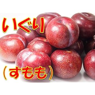 Amazon Co Jp 売れ筋ランキング すもも プラム の中で最も人気のある商品です
