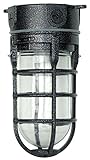Woods L1706BLK Traditional 100W Incandescent Weather Industrial Light, Ceiling Mount, Hammered Black