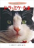 ドラ・ミケ・たま　ねこの絵を描いてみよう (ハート アート シリーズ)