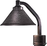 Minka Lavery Outdoor 8106-A138, Kirkham Dark Sky Dark Sky Outdoor Post Lighting, 60 Watts, Bronze [並