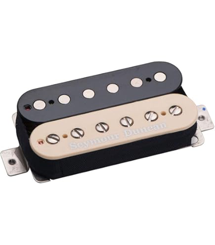 ハ*キ様 GlassRoots Seymour Duncan ロックペグ 搭載 Amazon.co.jp: Seymour Duncan セイモアダンカン SH-4 JB REVERSE