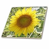 3drose CT _ 19144 _ 2 Sun Flowerセラミックタイル、6インチ