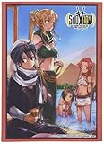 ブシロードスリーブコレクション ハイグレード Vol.2394 電撃文庫 ソードアート・オンライン『砂漠の宴』Part.2