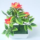 美しい花を装飾するカラーMay Vary