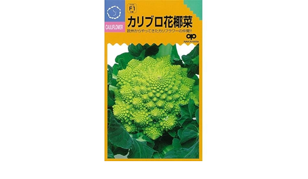 Amazon カリフラワー 種 カリブロ花椰菜 10ml 野菜