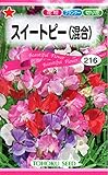 【種子】スイートピー（混合）　トーホク　花