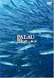 PALAU Blue(�p���I�u���[)