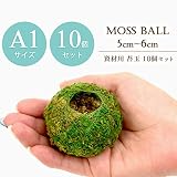 【資材苔玉Ａ１サイズ】資材苔玉　5～6cmの苔玉 (10個セット)